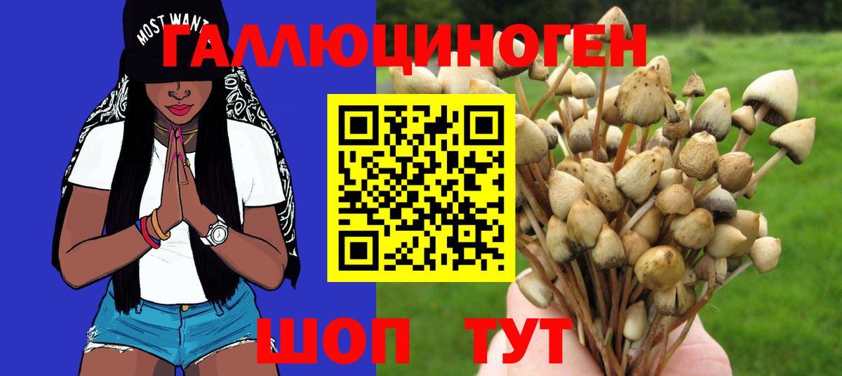 Галлюциногенные грибы MAGIC MUSHROOMS  Вход с VPN  как найти закладки  Южноуральск 